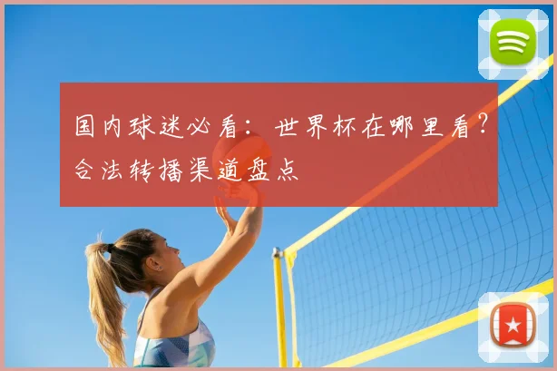 国内球迷必看：世界杯在哪里看？合法转播渠道盘点