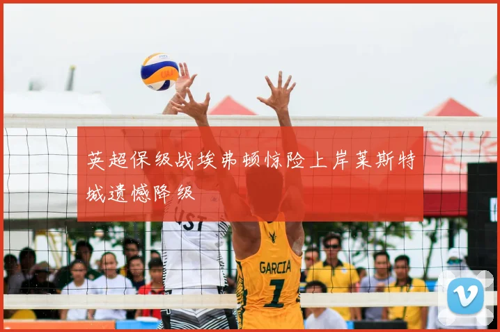 英超保级战埃弗顿惊险上岸莱斯特城遗憾降级