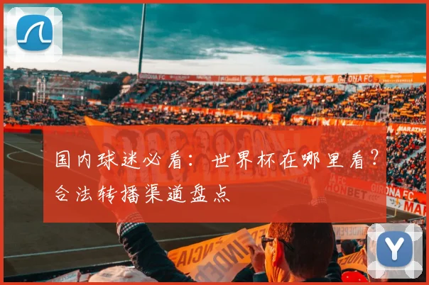 国内球迷必看：世界杯在哪里看？合法转播渠道盘点