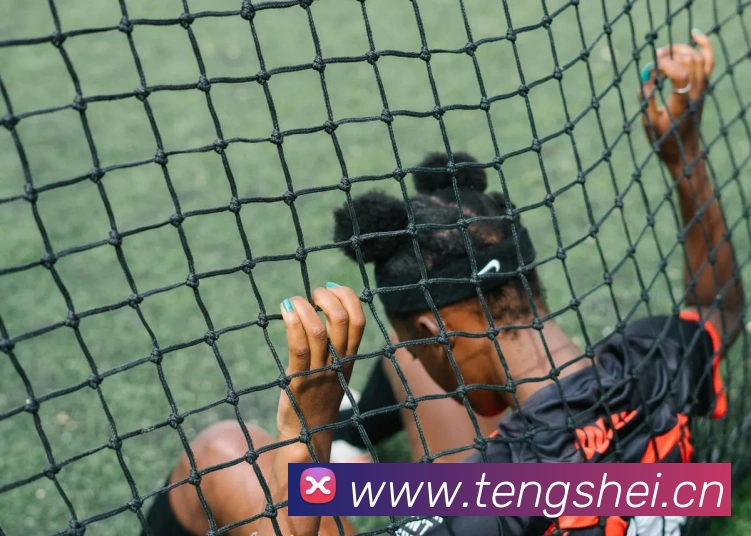 多媒体互动体验